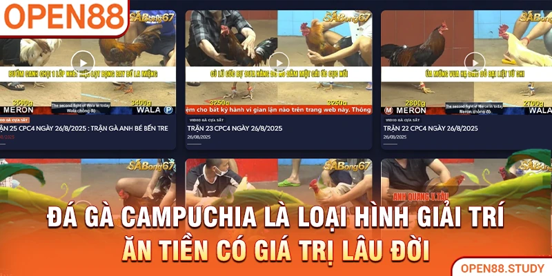 Đá gà Campuchia là loại hình giải trí ăn tiền có giá trị lâu đời