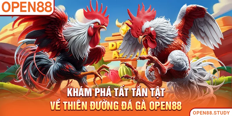 Khám phá tất tần tật về thiên đường đá gà Open88
