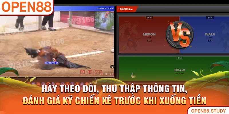Hãy theo dõi, thu thập thông tin, đánh giá kỹ chiến kê trước khi xuống tiền