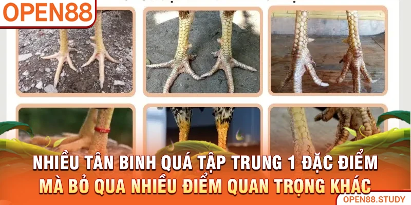 Nhiều tân binh quá tập trung 1 đặc điểm mà bỏ qua nhiều điểm quan trọng khác